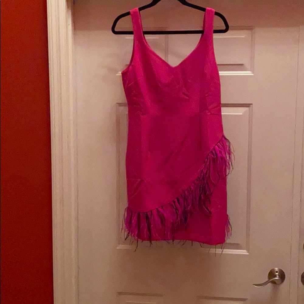 NWT Hot Pink feather trimmed dress